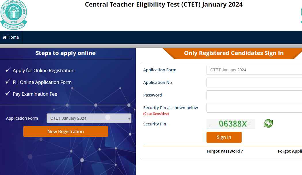 ctet admit card 2024